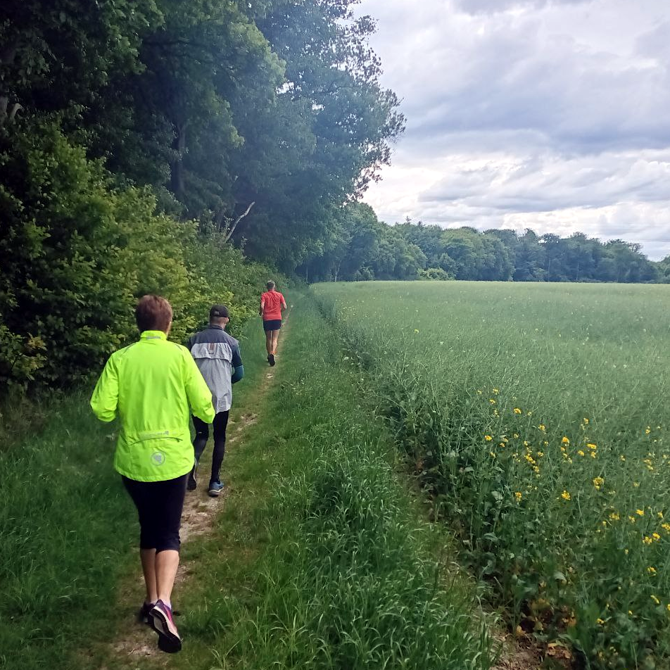 Läufer im Frühjahr am Waldrand