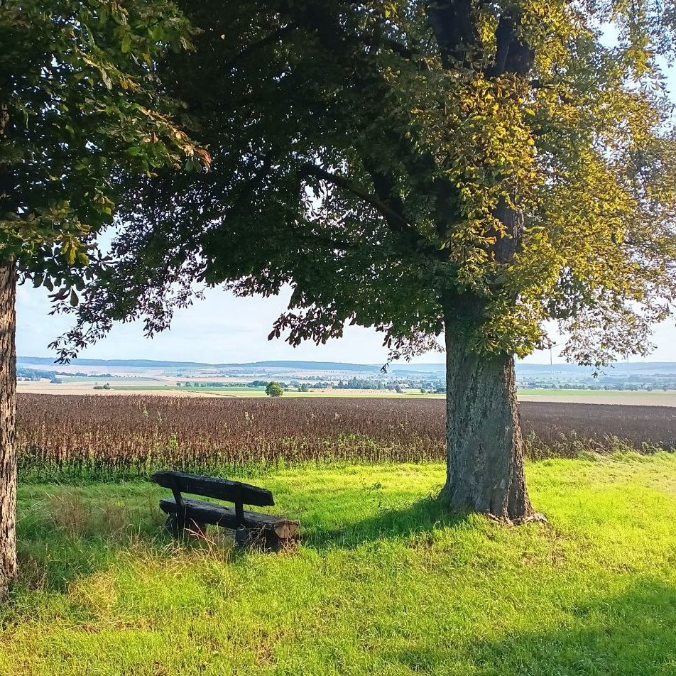 Ruhebank mit Aussicht im Ambergau