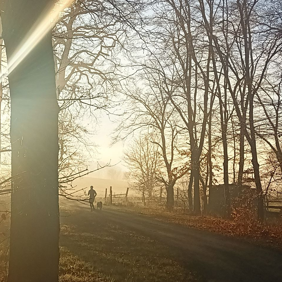 Läufer am Waldrand im Herbst